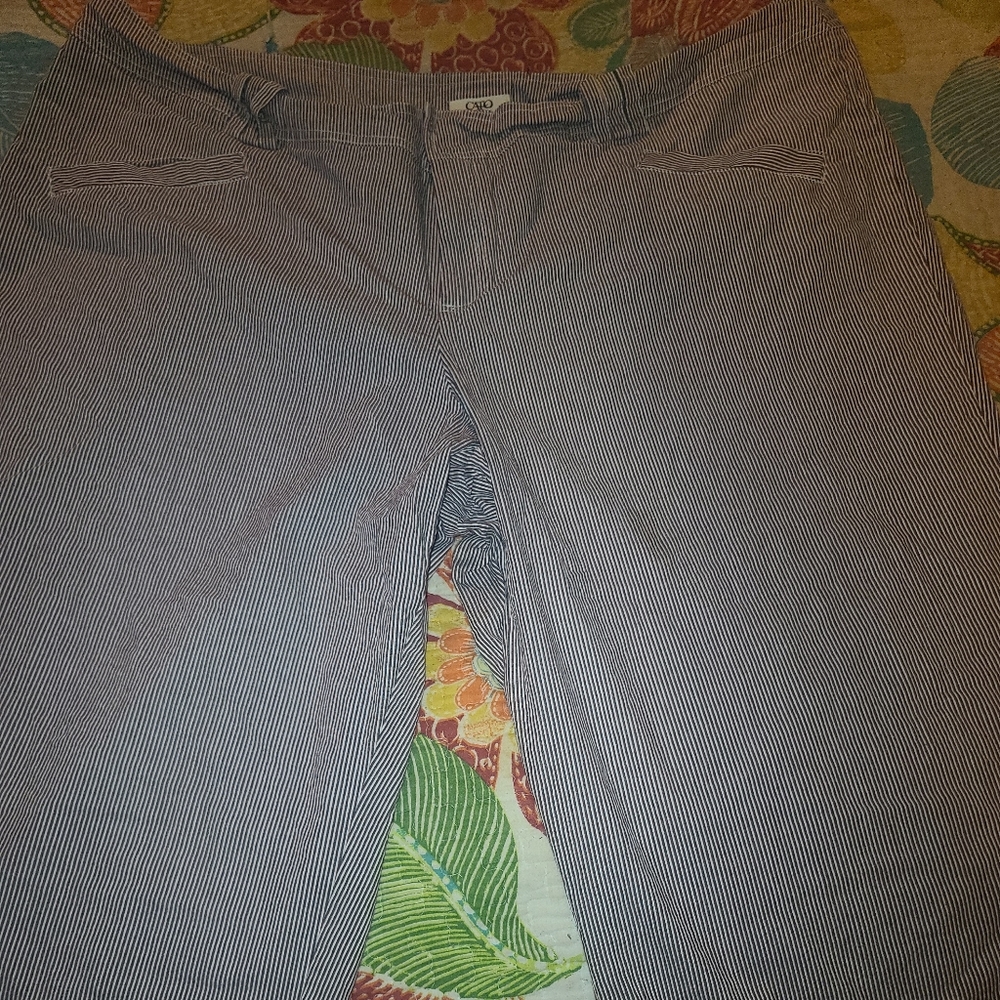 Capris - Picture 3 of 3